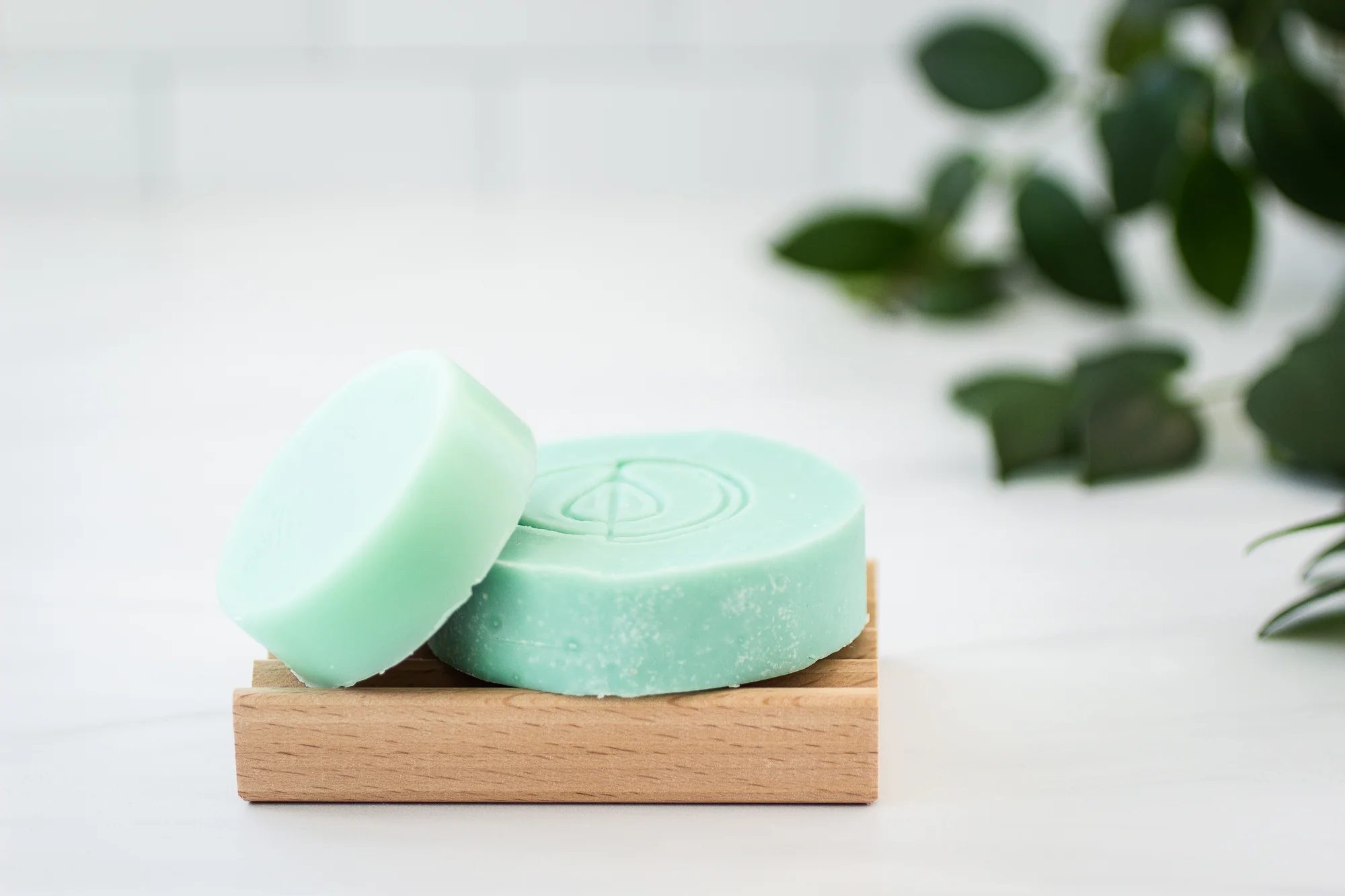 Shampoo + Conditioner Bar Bundle