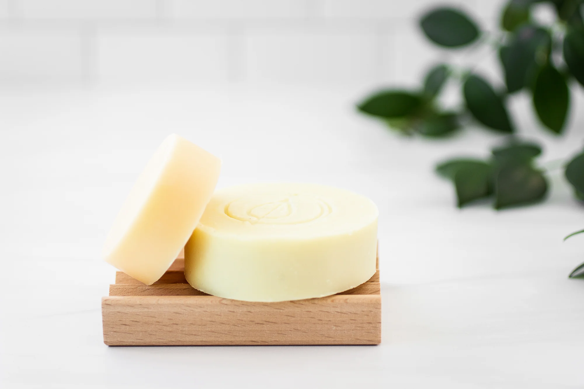 Shampoo + Conditioner Bar Bundle - Image 2